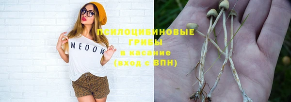 мдпв Алексин