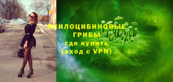твердый Алзамай