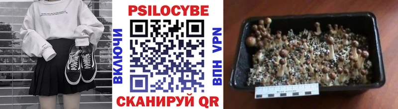 купить закладку  blacksprut зеркало  Псилоцибиновые грибы ЛСД  Сыктывкар 