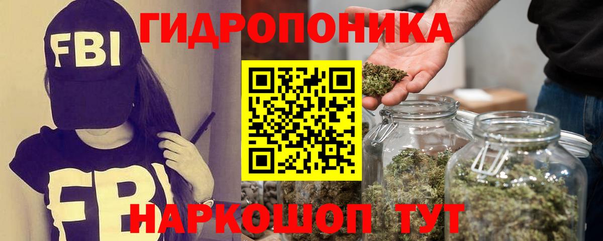 Бошки марихуана план Сыктывкар